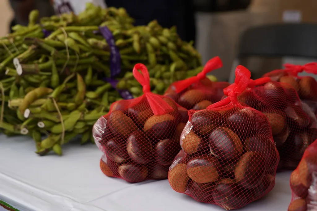 京丹波マルシェ2025