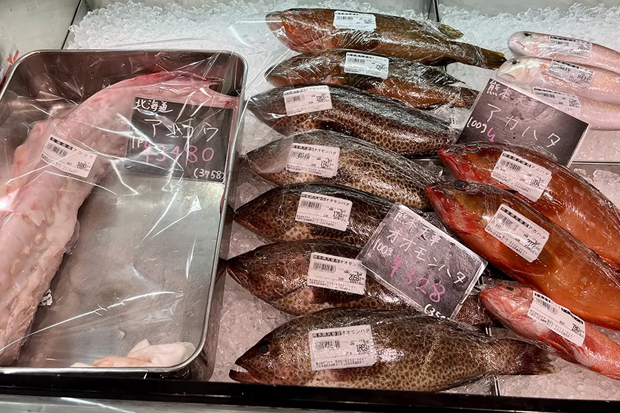 天満市場に並んだ鮮魚