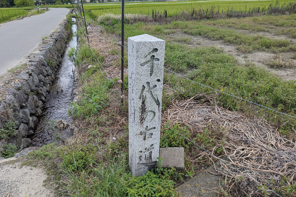 秋晴れの京都・嵯峨野を巡る街歩きイベント 10月5日（日）開催！