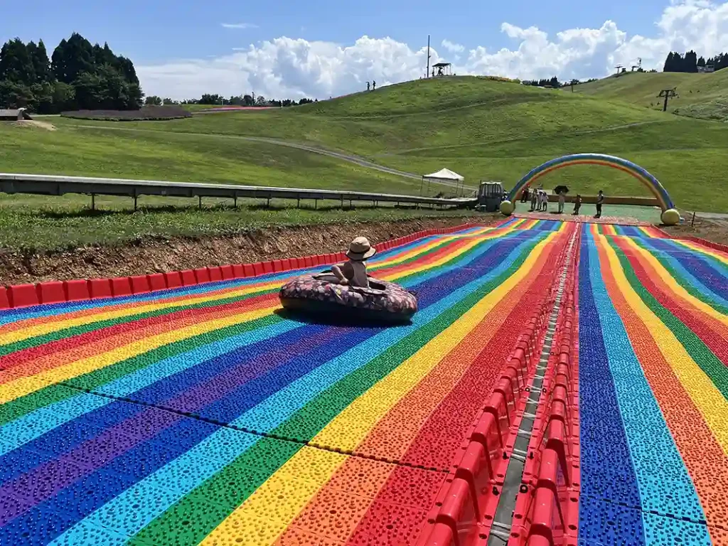 びわこ箱館山　紅葉　コキア　ナイトゴンドラ　ハロウィン