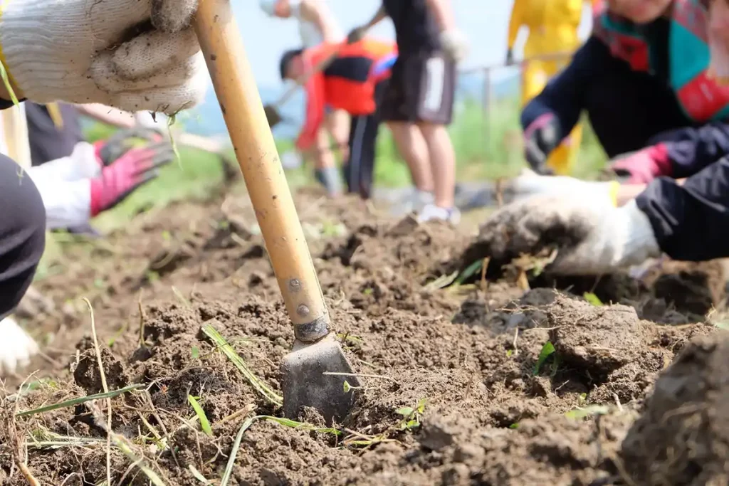 八百屋『minori farm(みのりファーム)』