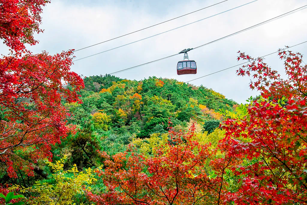 六甲有馬ロープウェー