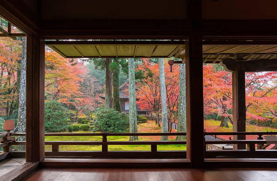 【京都・大原の紅葉】里山の隠れ名所でゆったり半日コース