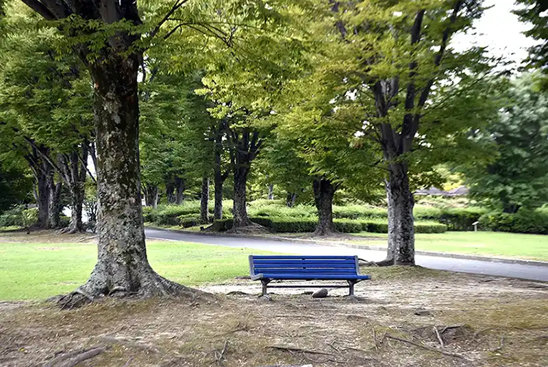 万博記念公園のベンチ1