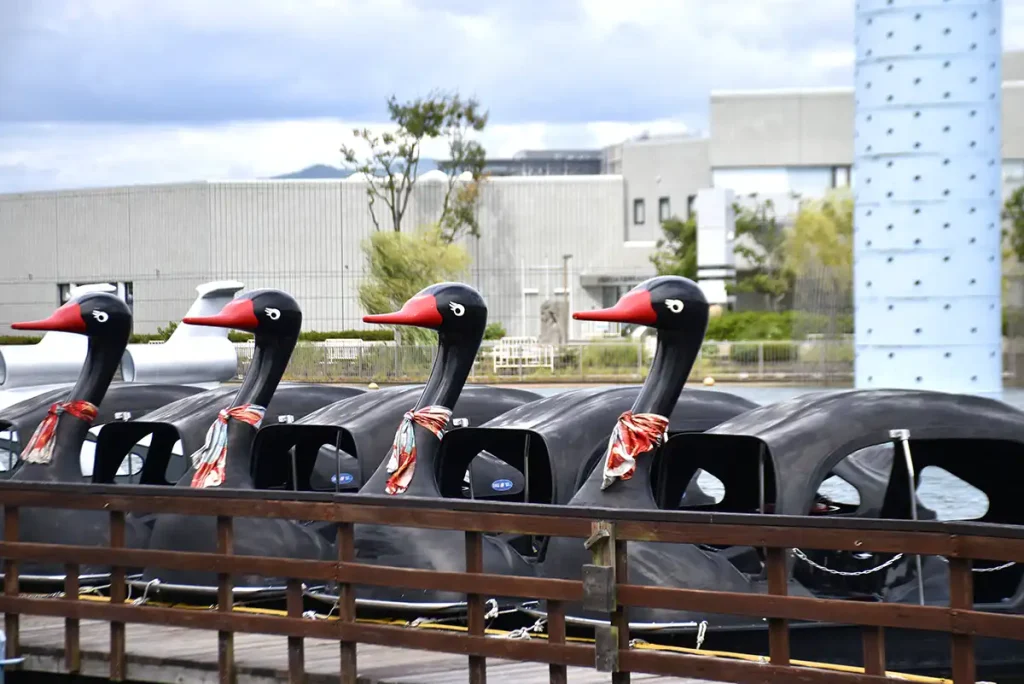 万博記念公園の夢の池サイクルボート