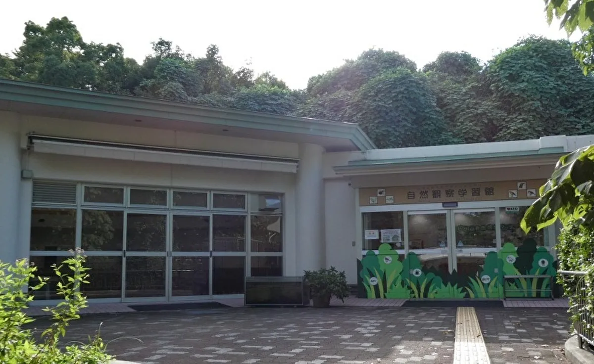 万博記念公園でオリジナル布アイテムを作ろう！自然観察学習館 moricaraで開催の「moricara Upcycle Day!」