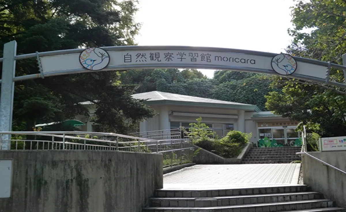 「森のクラフト工房　どんぐりおえかき」を万博記念公園で開催。