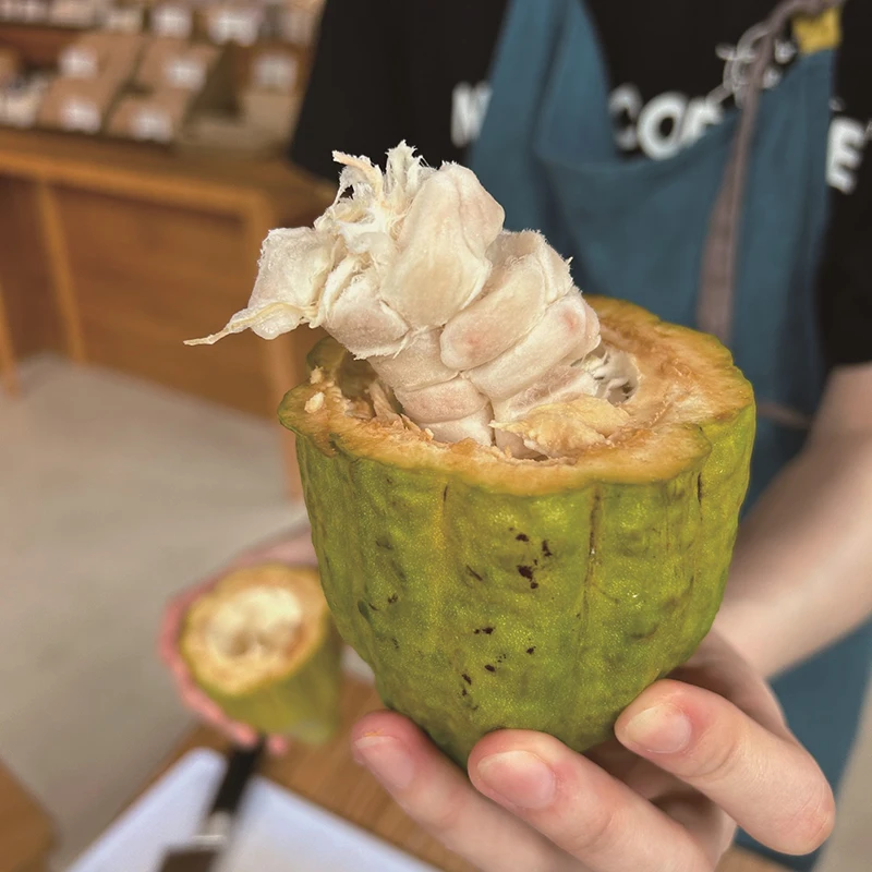 KYOTO コーヒー・チョコレートフェスティバル10月18日・19日