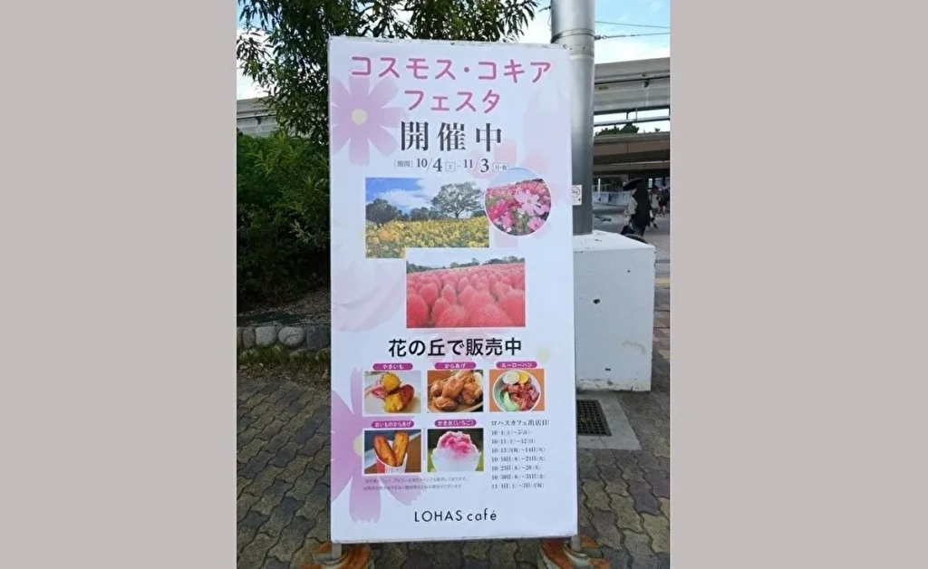 コスモス・コキアフェスタ　案内看板