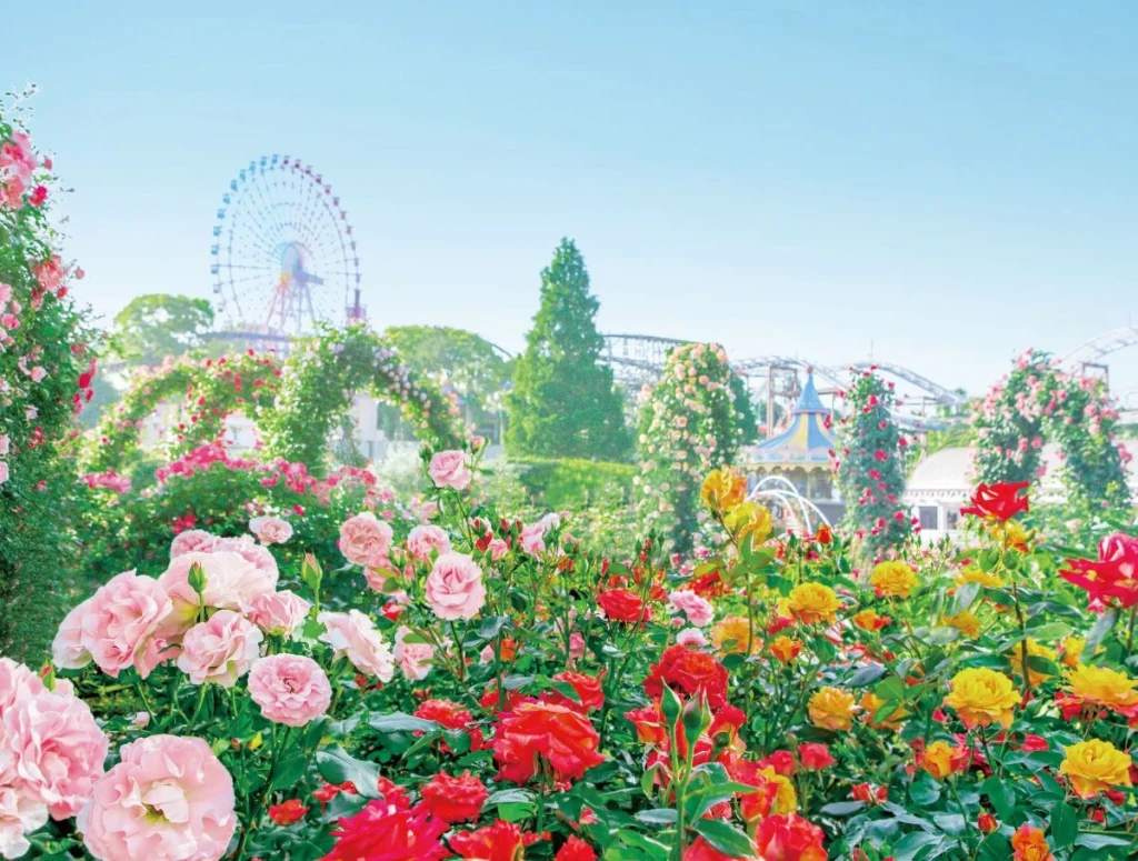 ひらかたパーク　ローズガーデン