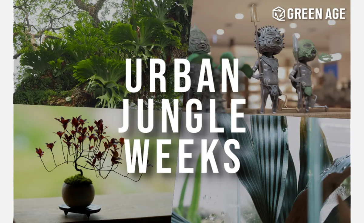 世界中の珍奇植物に出会える「URBAN JUNGLE WEEKS」阪急うめだ本店で開催！