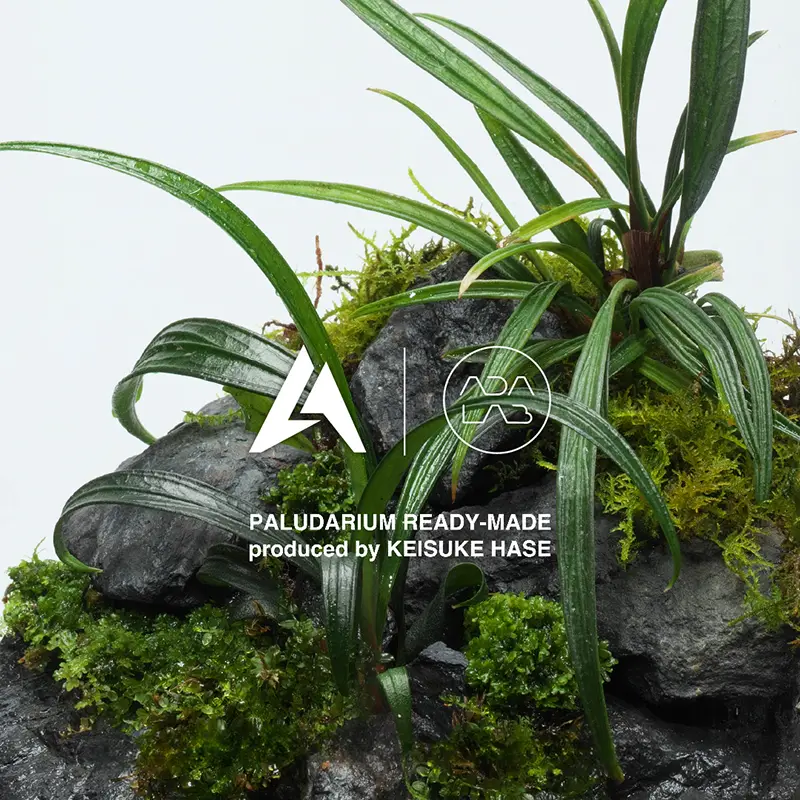 阪急うめだ本店　URBAN JUNGLE WEEKS