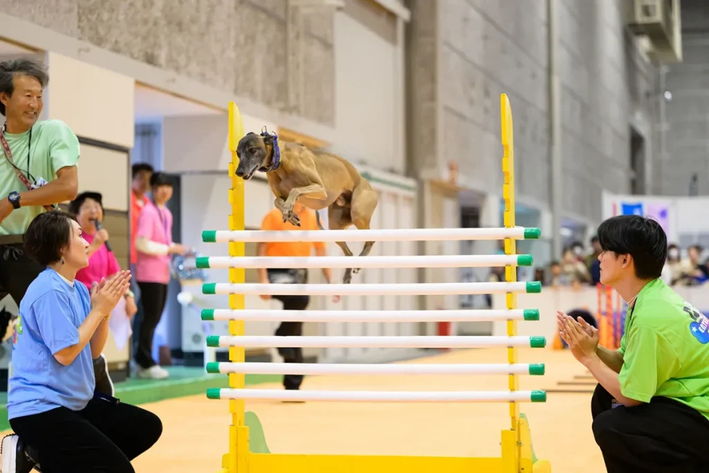 ペットイベント　インテックス大阪