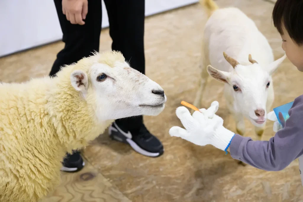 ペットイベント　インテックス大阪