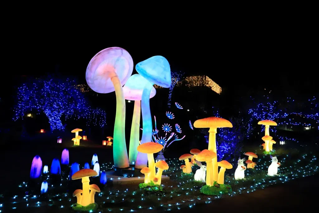 ローザンベリー多和田 イルミネーション