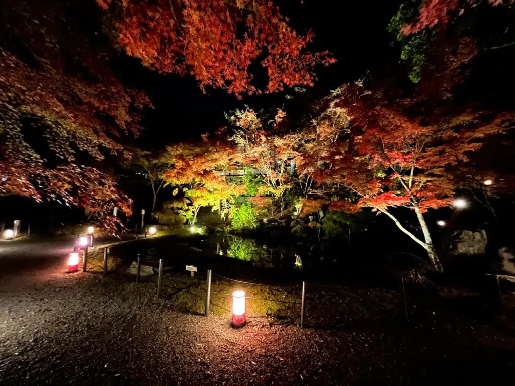 長岡天満宮花灯路 錦景苑 夜