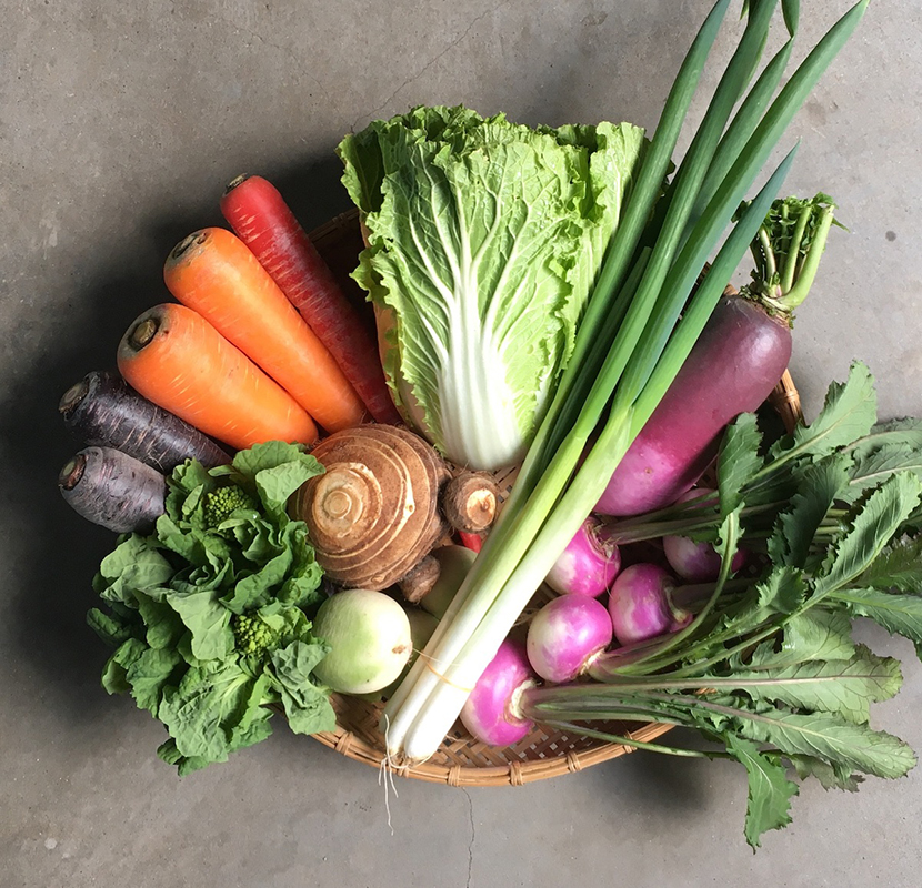 つくだ農園より