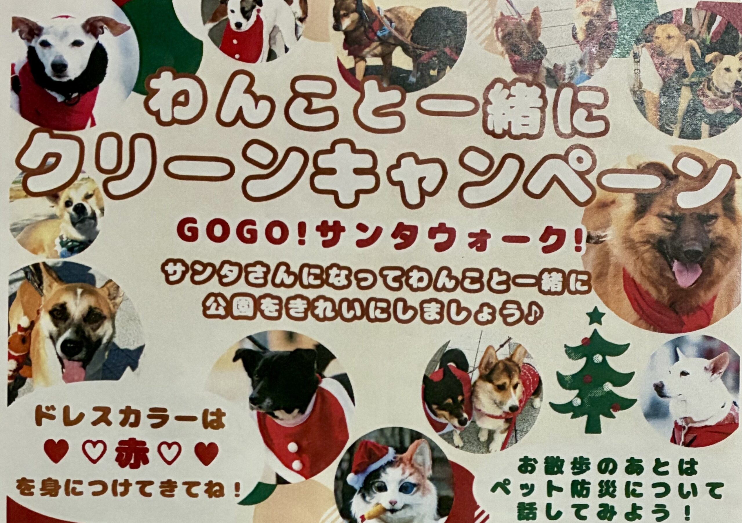 赤いサンタ姿の愛犬と歩く特別な日！｜気分が盛り上がる｜安満遺跡公園クリーン大作戦