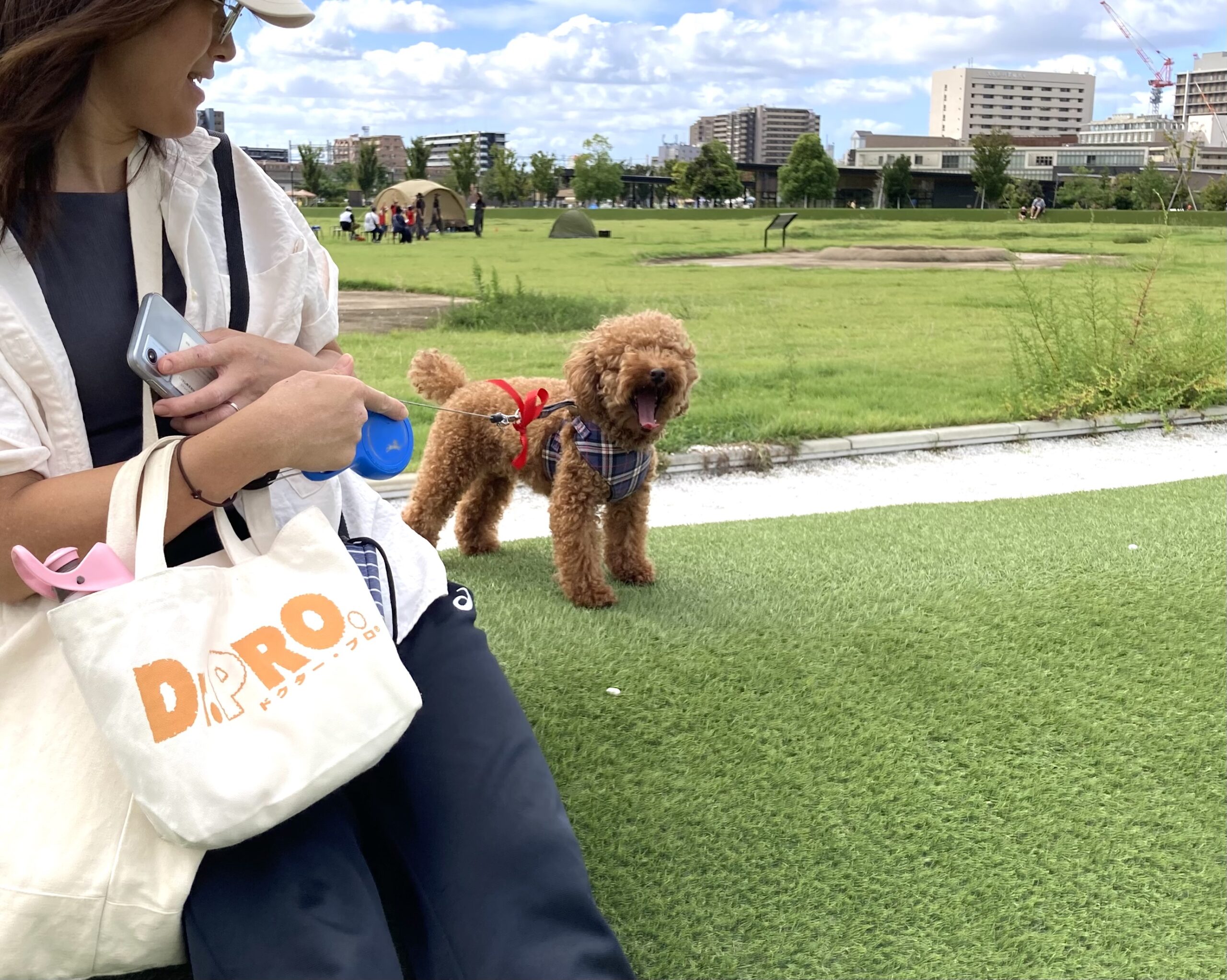 わんちゃんと遊ぼう！ワンワンピクニック