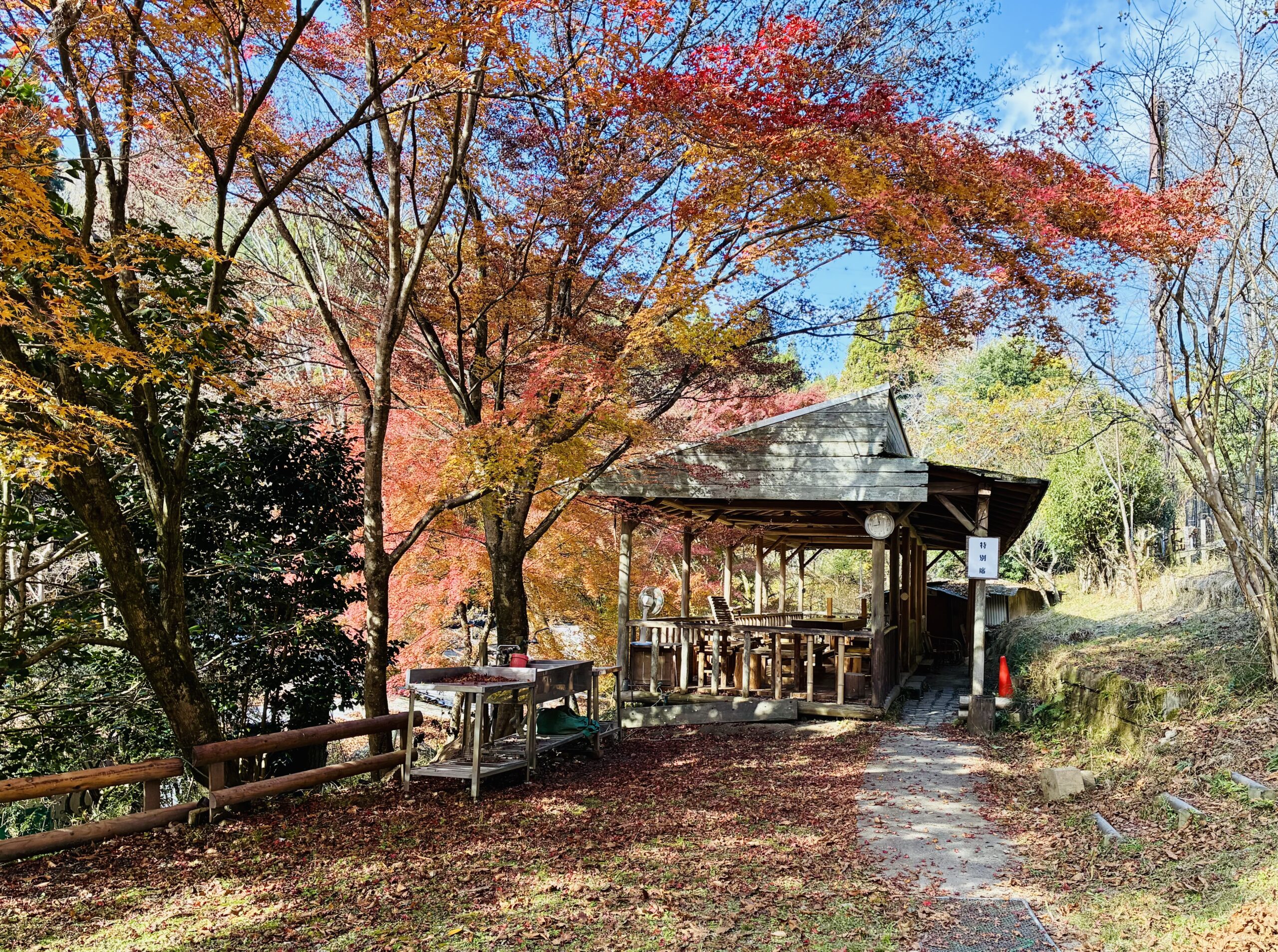 最高の焼き肉を｜レストランで味わうもよし｜BBQで楽しむも良し｜秋は少し遠出して森林散策エネチャージ
