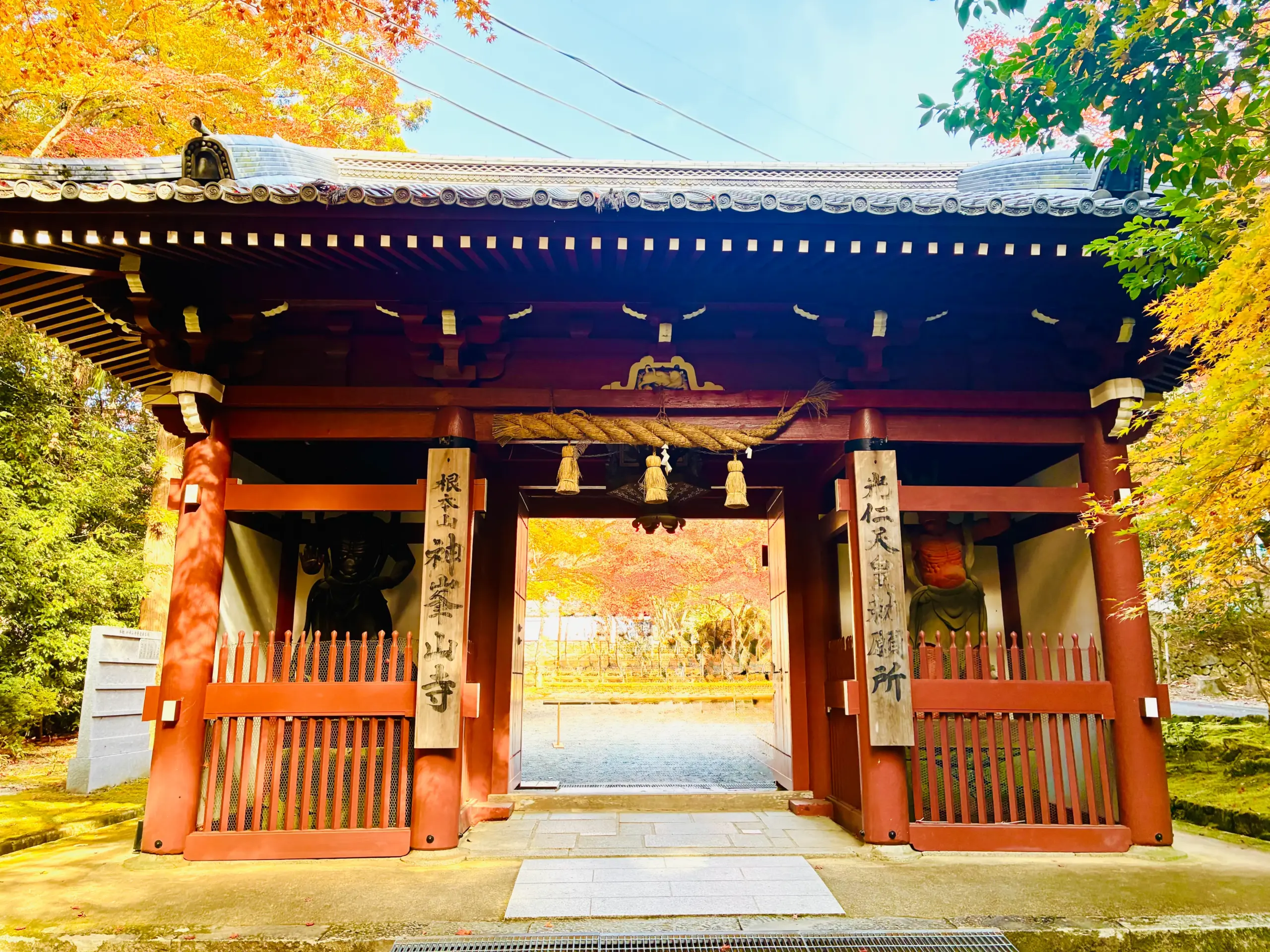 神峯山寺　静かな寺の紅葉、ちょうど見ごろを迎えています