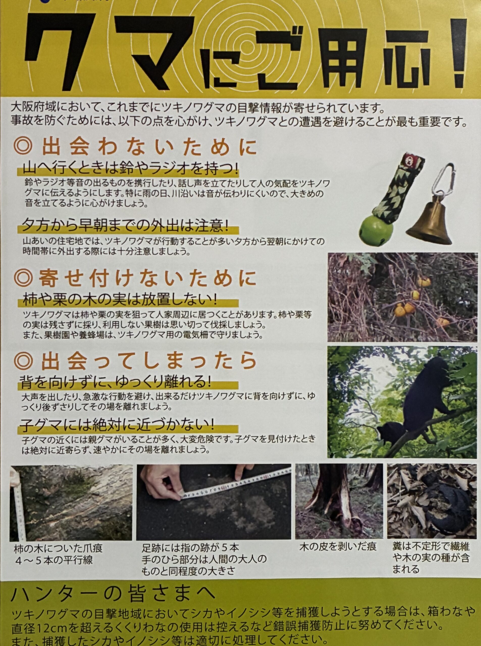 高槻市の熊情報です | でも心配しすぎないでください
