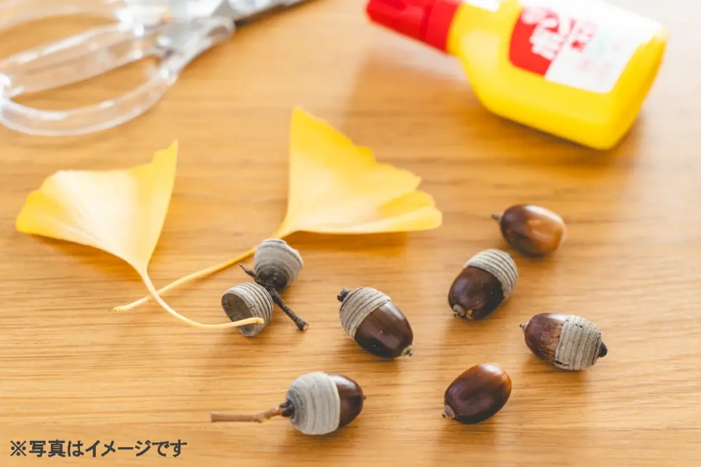 どんぐりカーイメージ