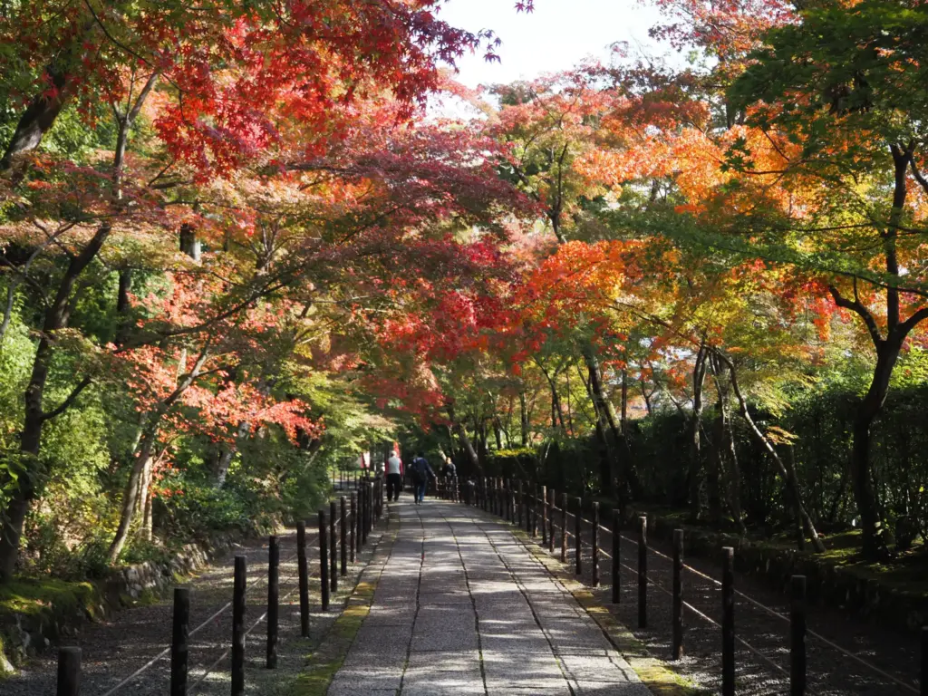 光明寺 もみじ参道
