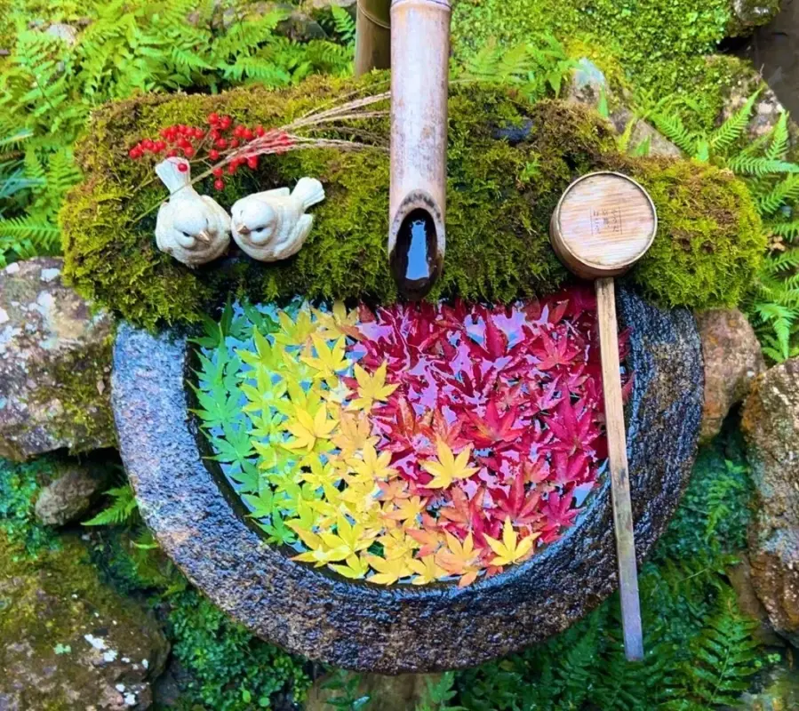 Instagram花手水で一躍人気のあじさい寺より期間限定　～秋の便り～