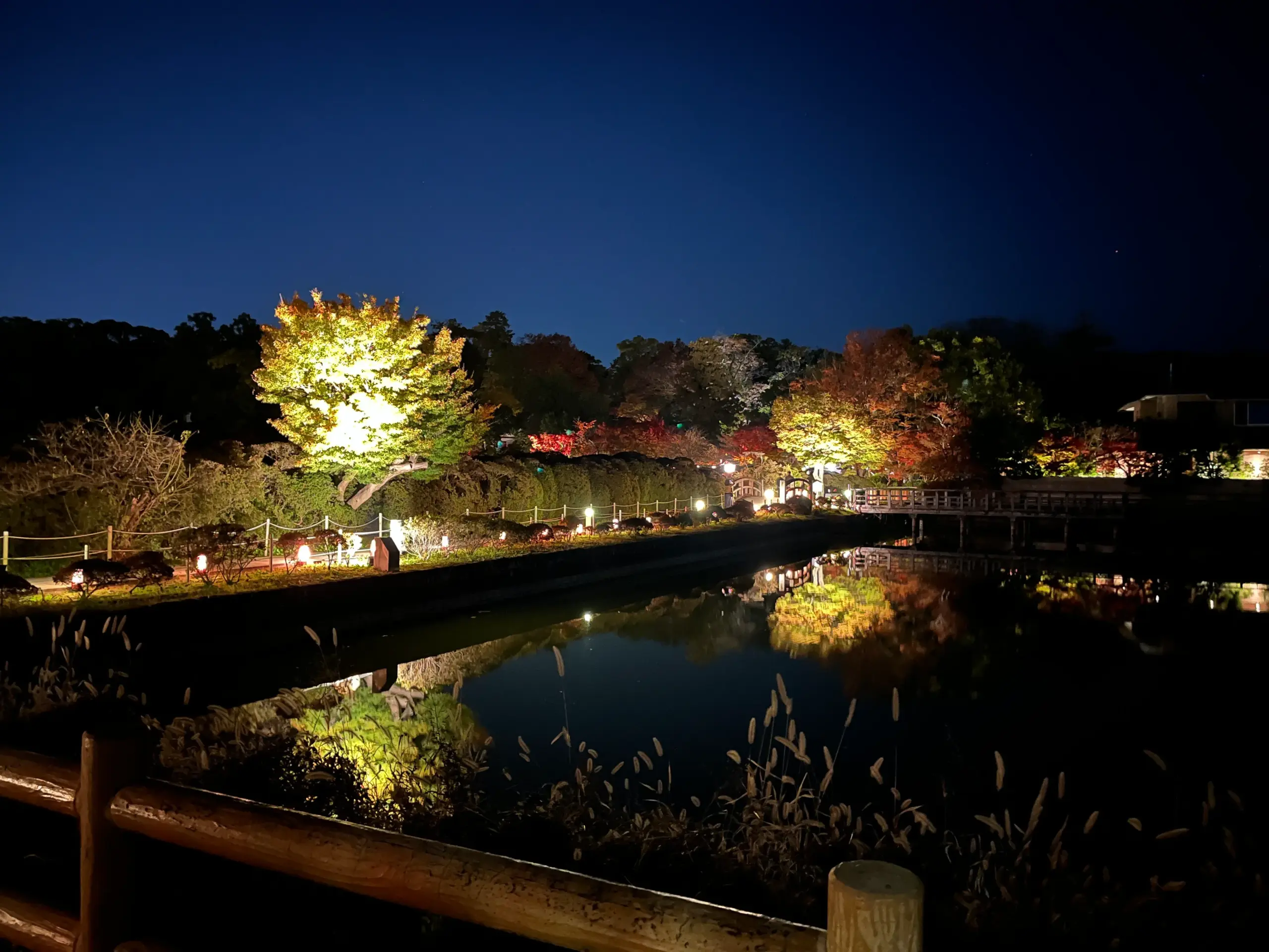 長岡天満宮花灯路・錦景苑（紅葉の庭園）ライトアップ