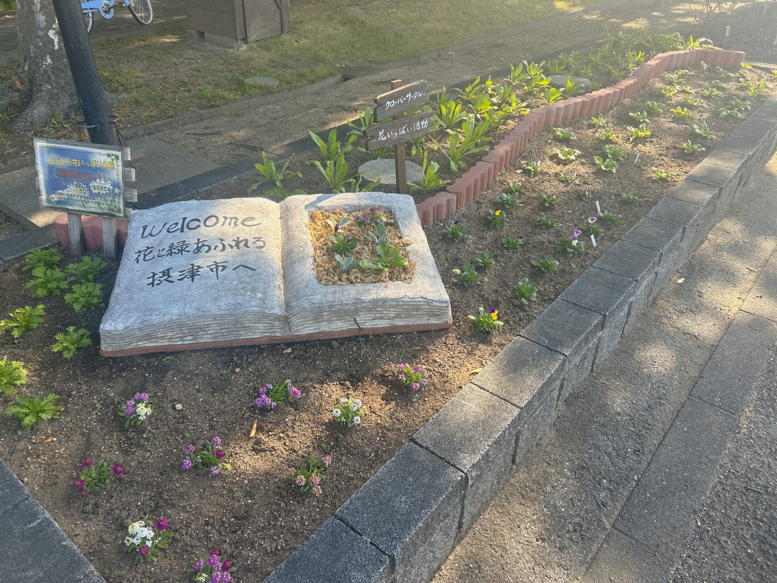 摂津市の花壇めぐり：まちを彩る季節の花々と、市民が育てる“やさしい景観”