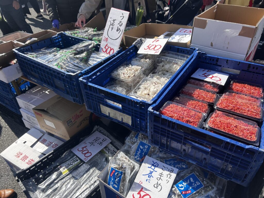 摂津市農業祭１