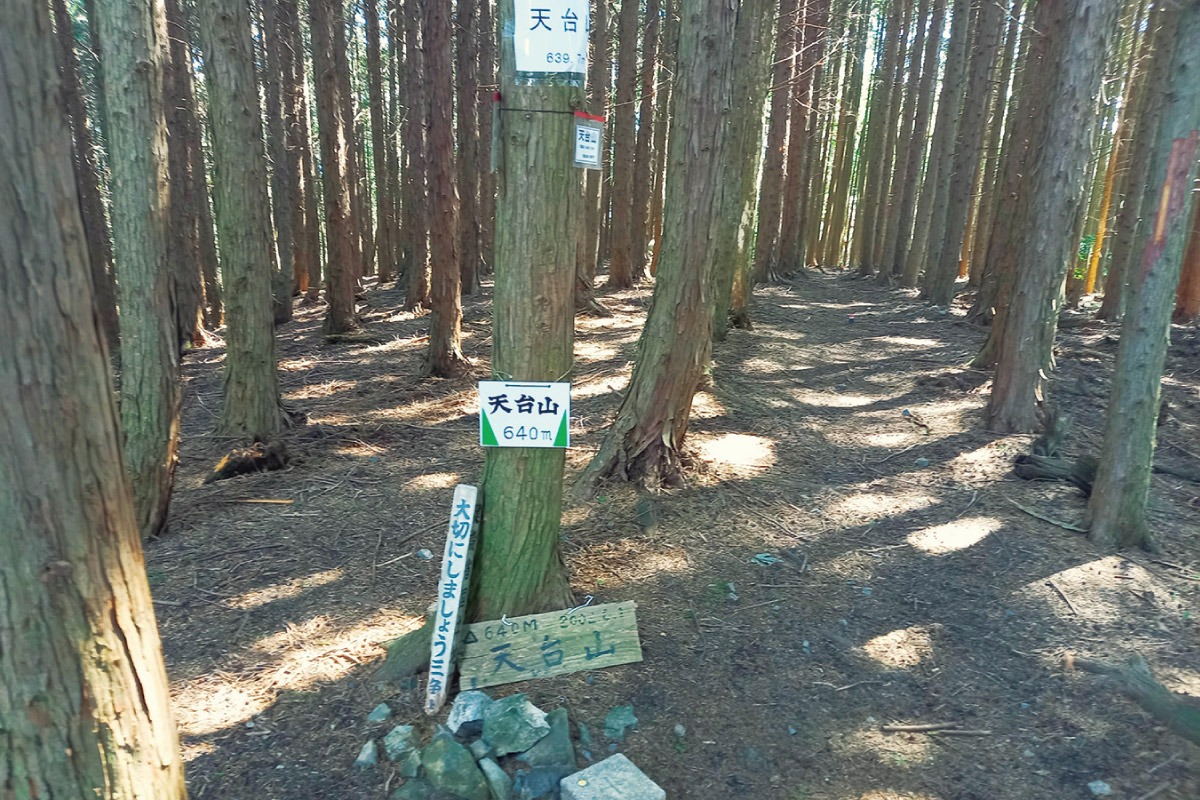 2025年歩き納めのロングウオーク！のせでんチャレンジハイキング 12月20日（土）開催「天台山・光明山・妙見山・初谷渓谷コース」