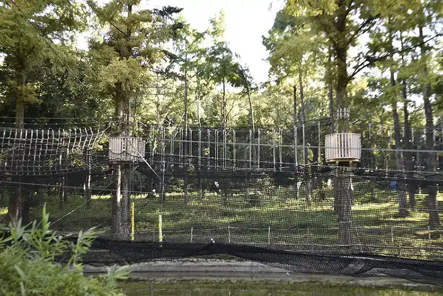 万博記念公園　自然観察学習館 moricara8