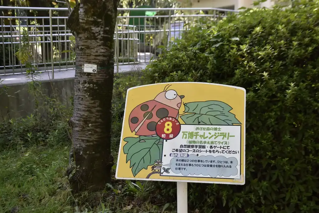 万博記念公園　自然観察学習館 moricara6