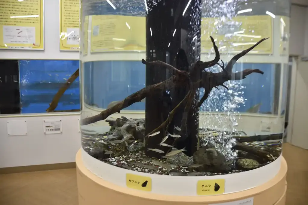 万博記念公園　自然観察学習館 moricara　2