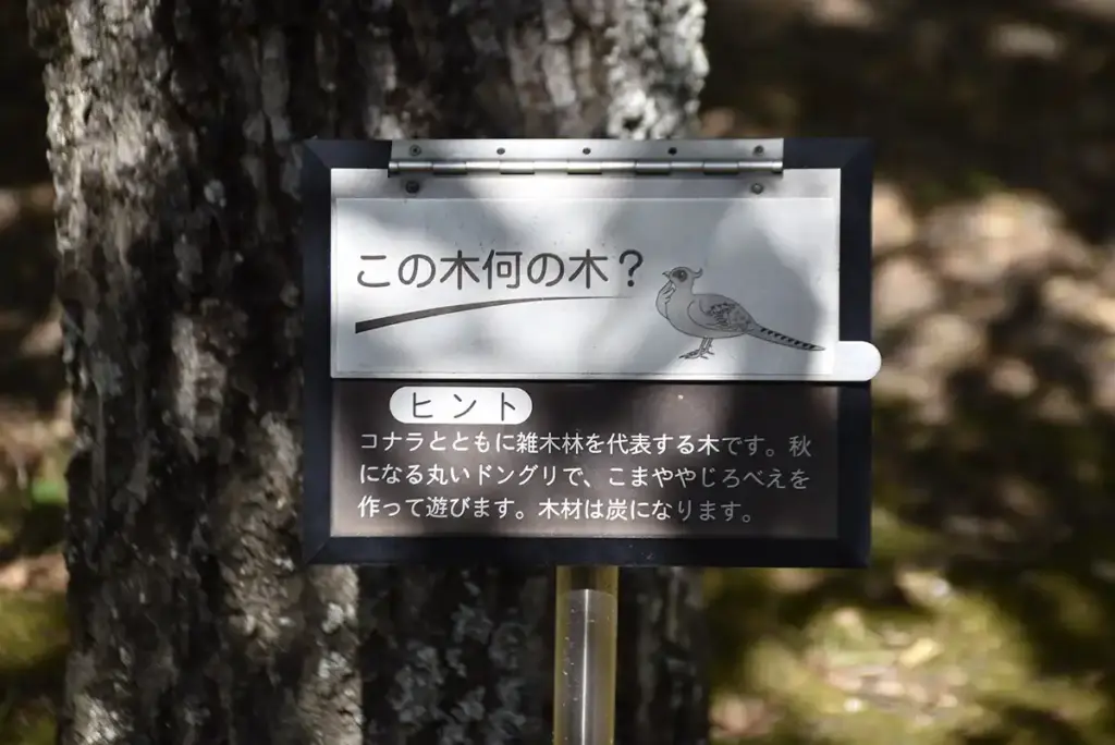 万博記念公園　自然観察学習館 moricara7