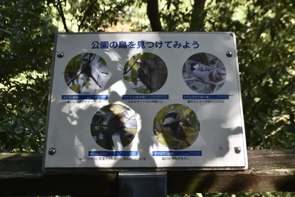 万博記念公園　観察路