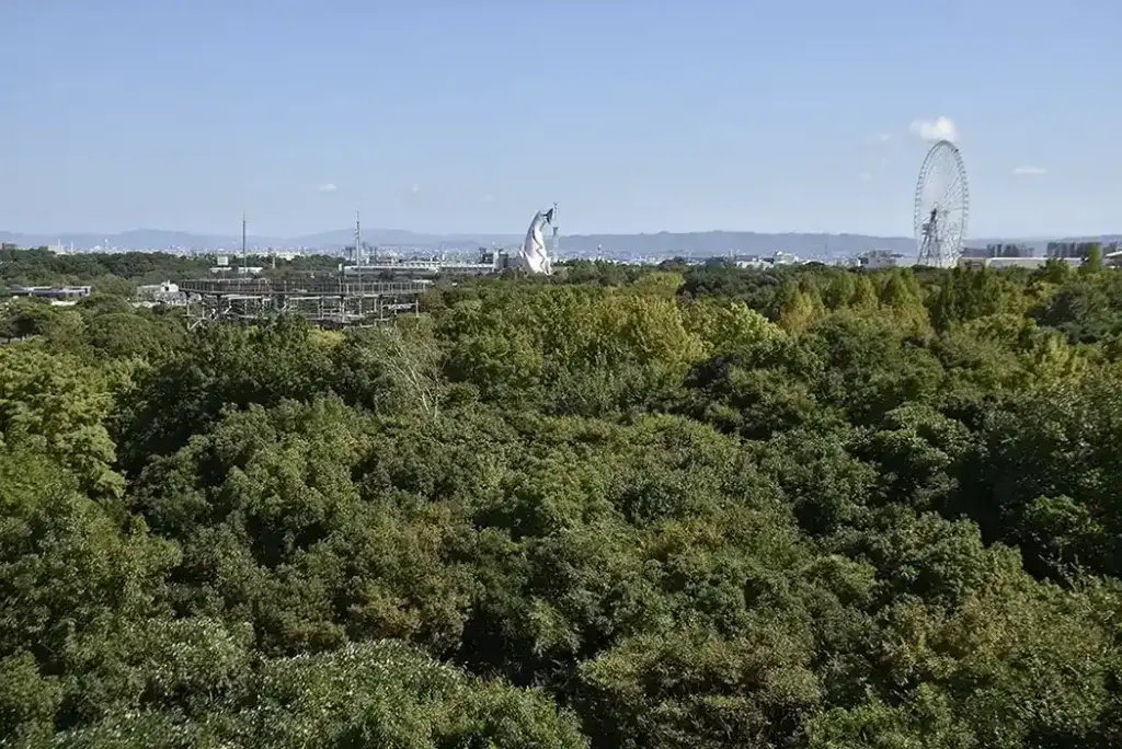 万博記念公園　俯瞰