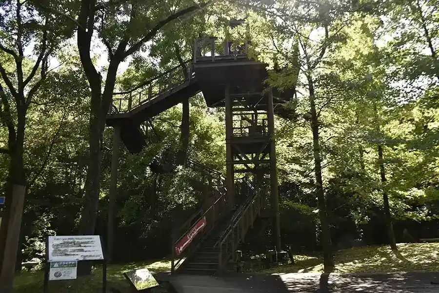 万博記念公園　ソラ―ド