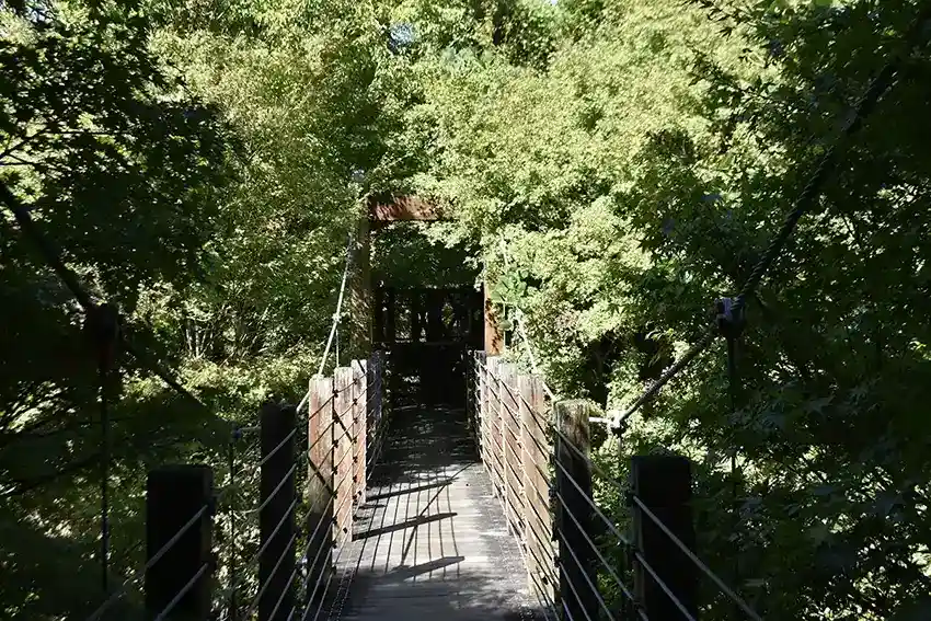 万博記念公園　吊り橋