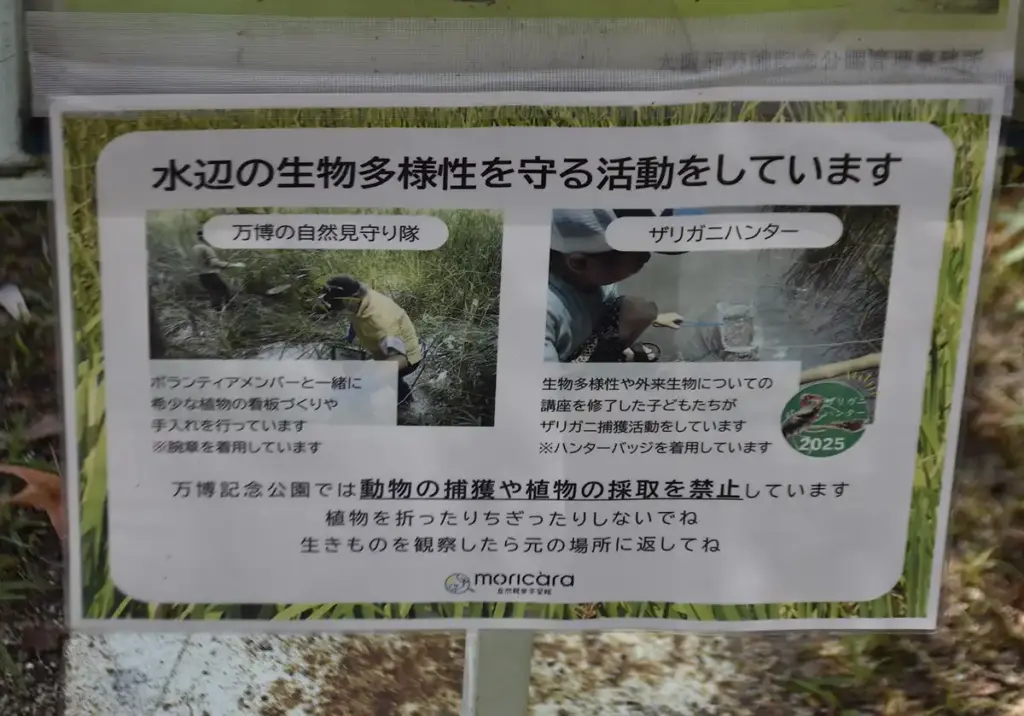 万博記念公園　自然観察学習館 moricara5