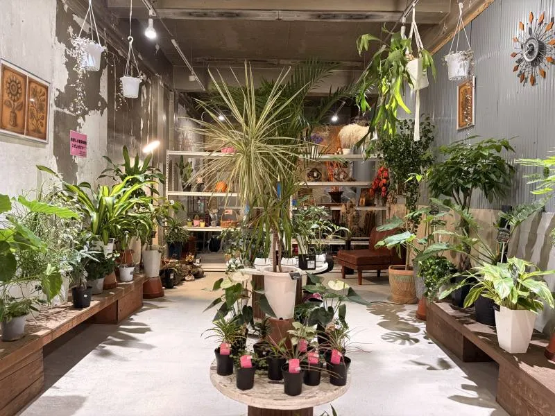 花屋Cherry Blossomセカンド