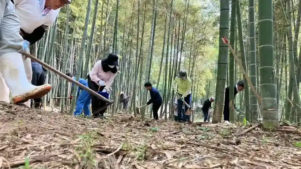 京都発・竹・流域環境ネット 竹林18