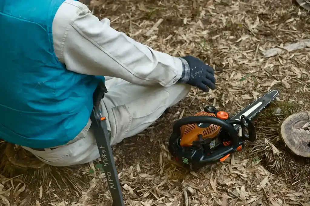 京都発・竹・流域環境ネット 竹林7