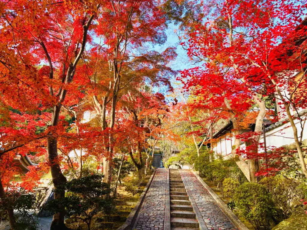 神峰山寺の紅葉1