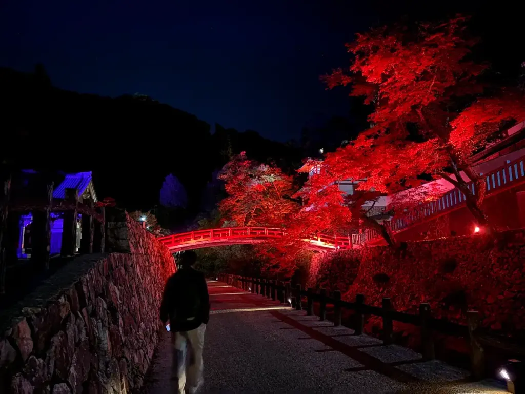 箕面公園 もみじまつり2