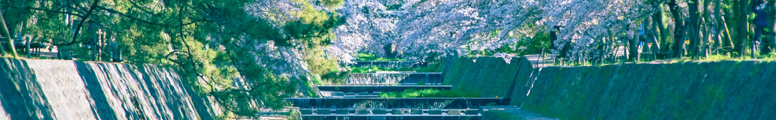 TOKK 西宮・芦屋>