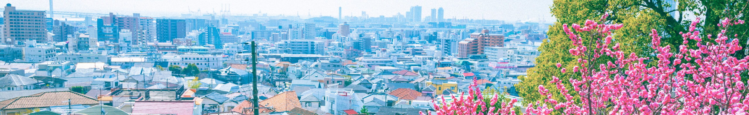 TOKK 岡本・御影>