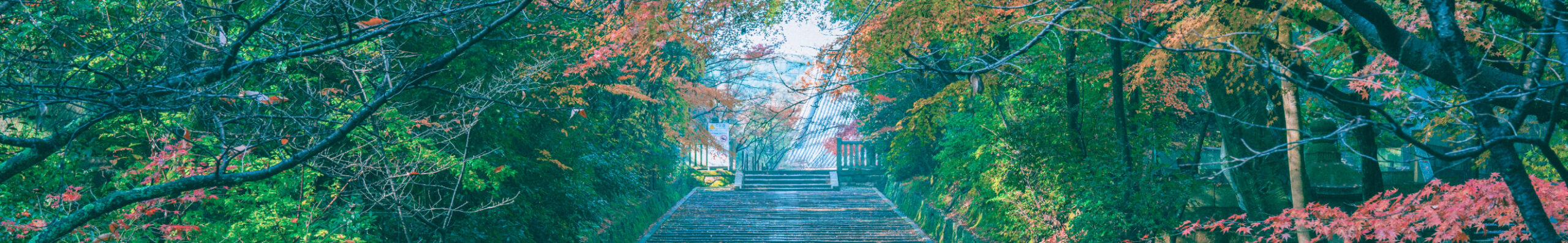 TOKK 長岡京・大山崎・向日>